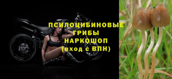 MESCALINE Нефтекумск
