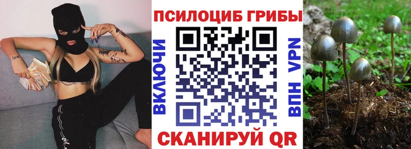 Псилоцибиновые грибы мухоморы  Купить закладки  Сусуман 